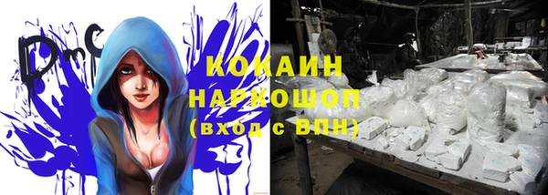 скорость Алзамай